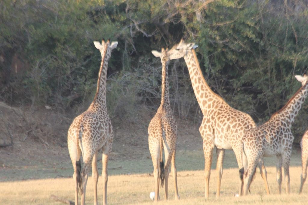 72bf30d9-2061-45ad-abbd-ee099ecb8ba8