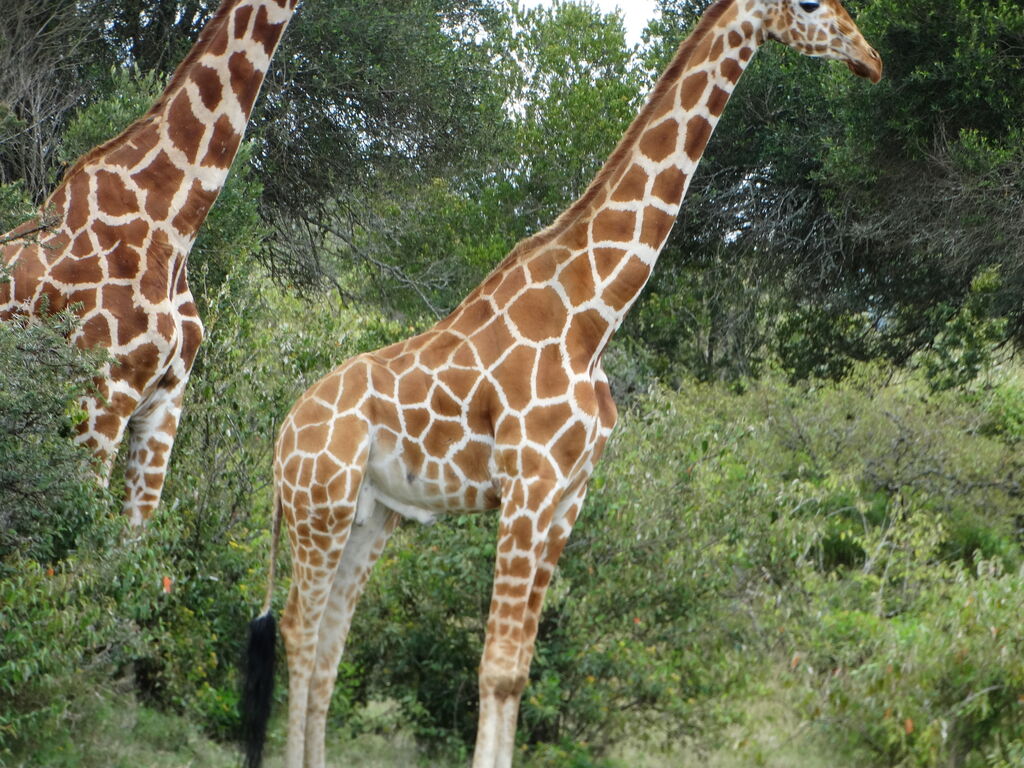 c24ce6ca-aa15-43b0-bd95-eade0f8ad9a3