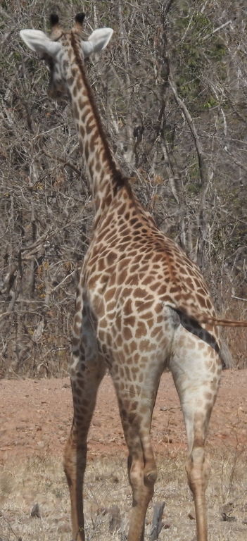 b0c8753b-d6c6-45a2-80aa-5951739c17c4