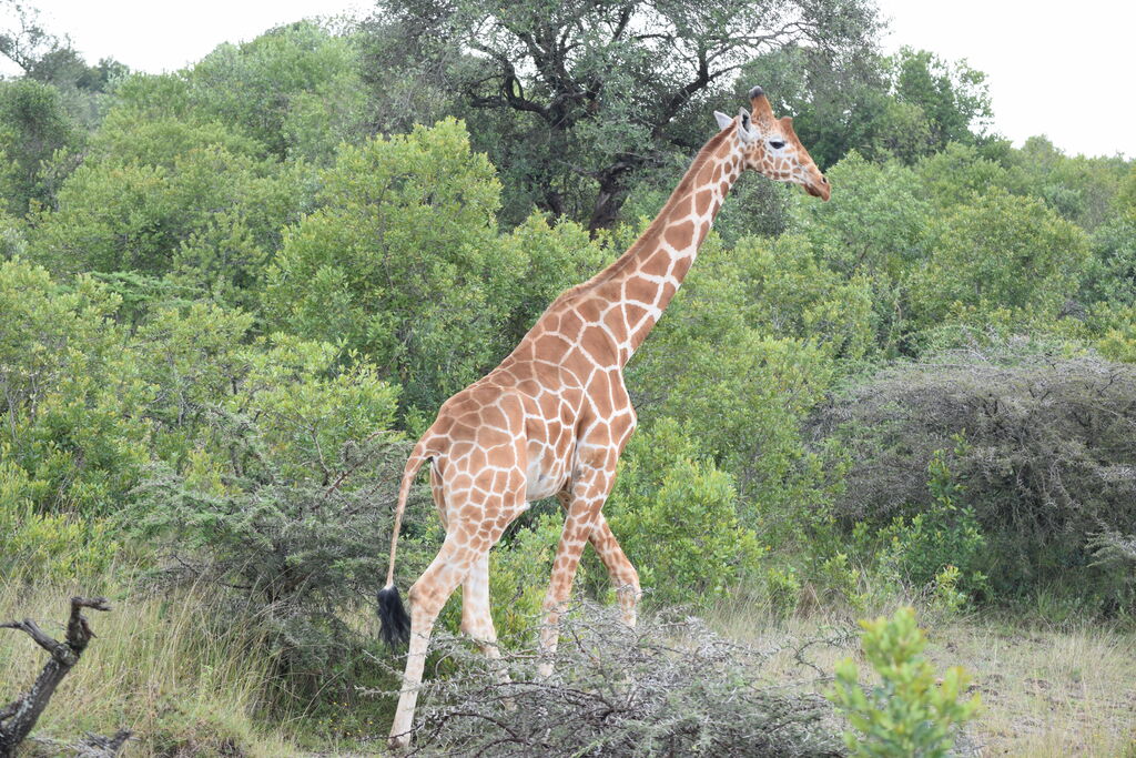 c24ce6ca-aa15-43b0-bd95-eade0f8ad9a3