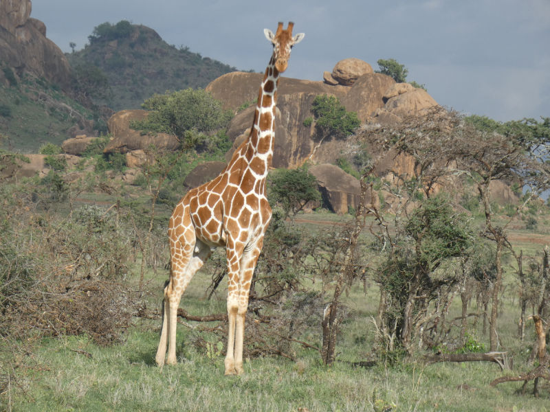 8b3a2d12-b470-4227-a6e9-e6daf88f1d6a