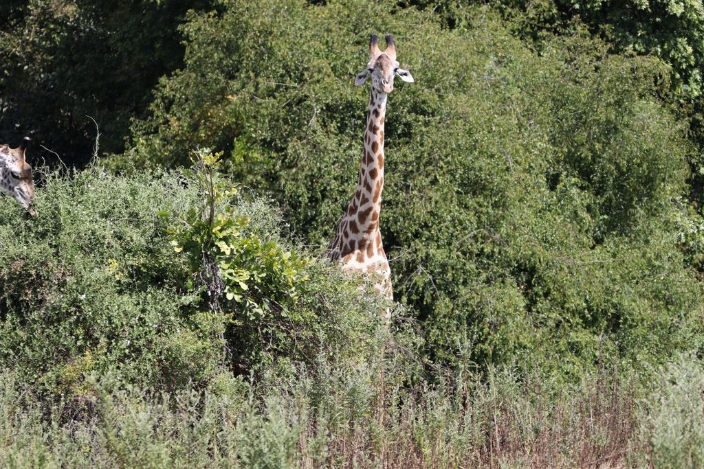 ecd95703-4615-4b63-85d1-02416a8c1b93