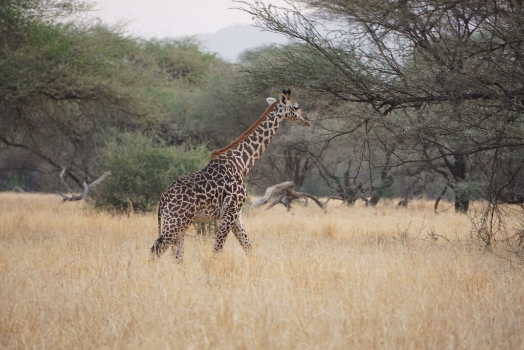 4bcb3bc9-c73b-4a17-abc6-22c7452281b0