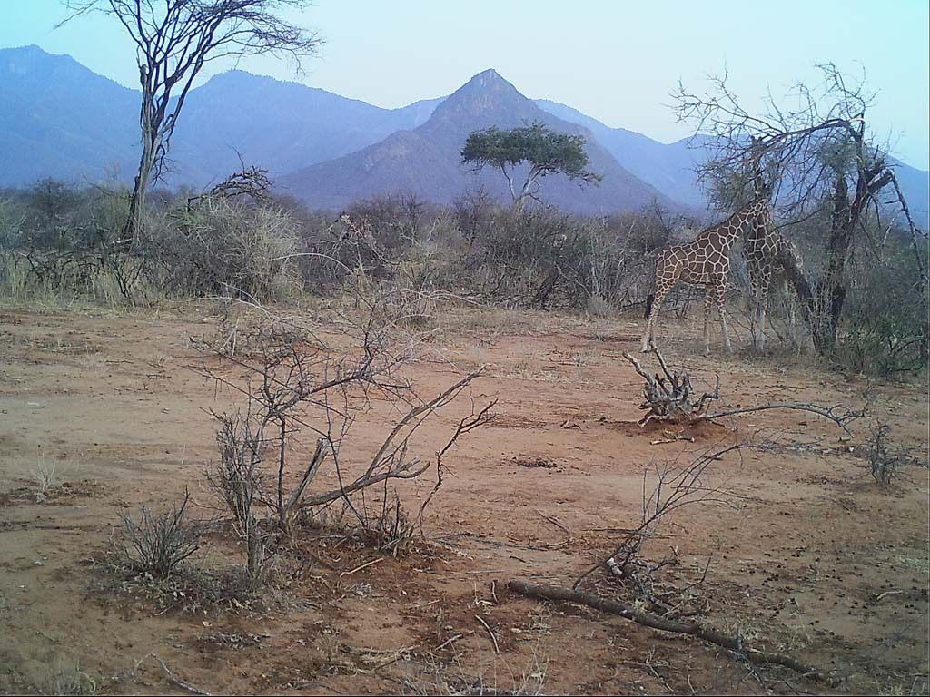 b7bd8dce-f7ec-4ab6-b1db-6cb353fe8a87