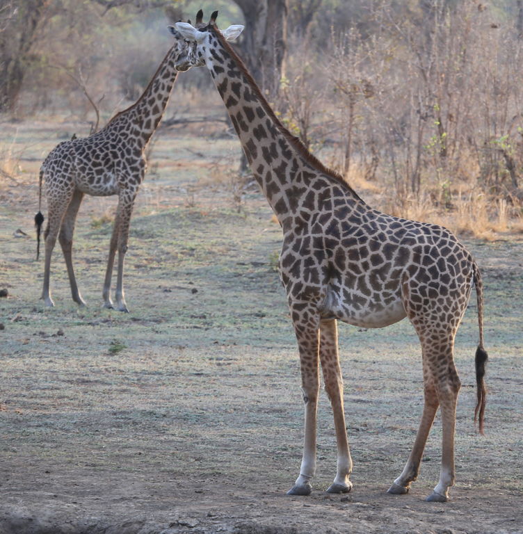 ec22d032-c39a-46e8-9213-02e56f8a0205