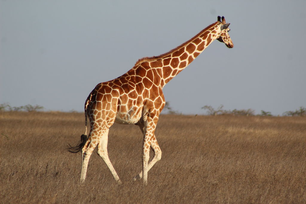 89832ba9-ec7f-43f9-b417-31ebcae6acdd