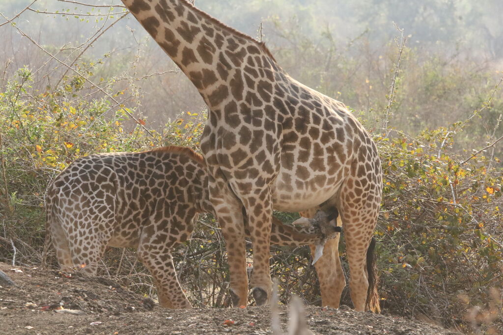 c034e484-4a10-47ce-ba57-67169f93dcc6