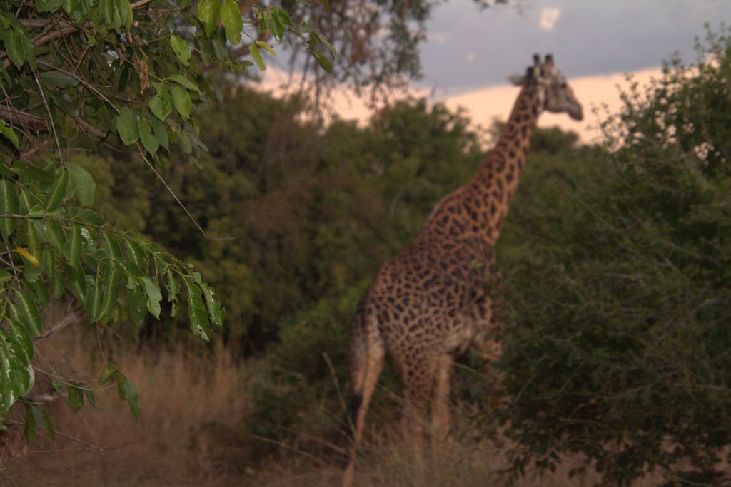 b139f8d2-6e63-40fc-a036-ee10c9266ef4