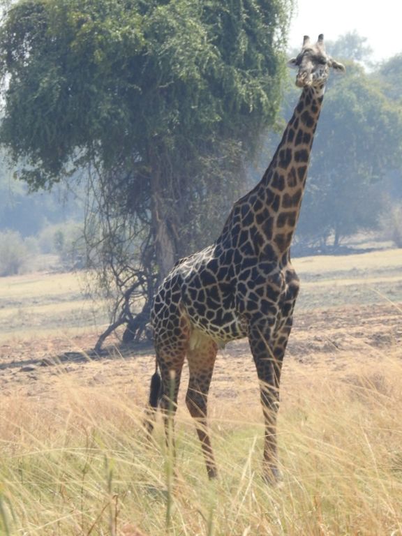 01401431-3267-442d-95b2-a415bddc84f2