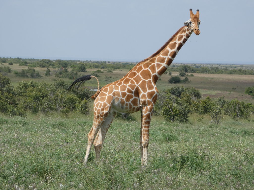 c24ce6ca-aa15-43b0-bd95-eade0f8ad9a3