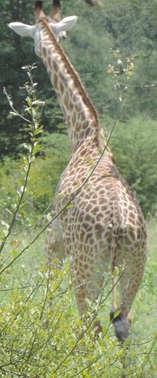 c6fa6877-5e16-45af-a627-81c583e0905f