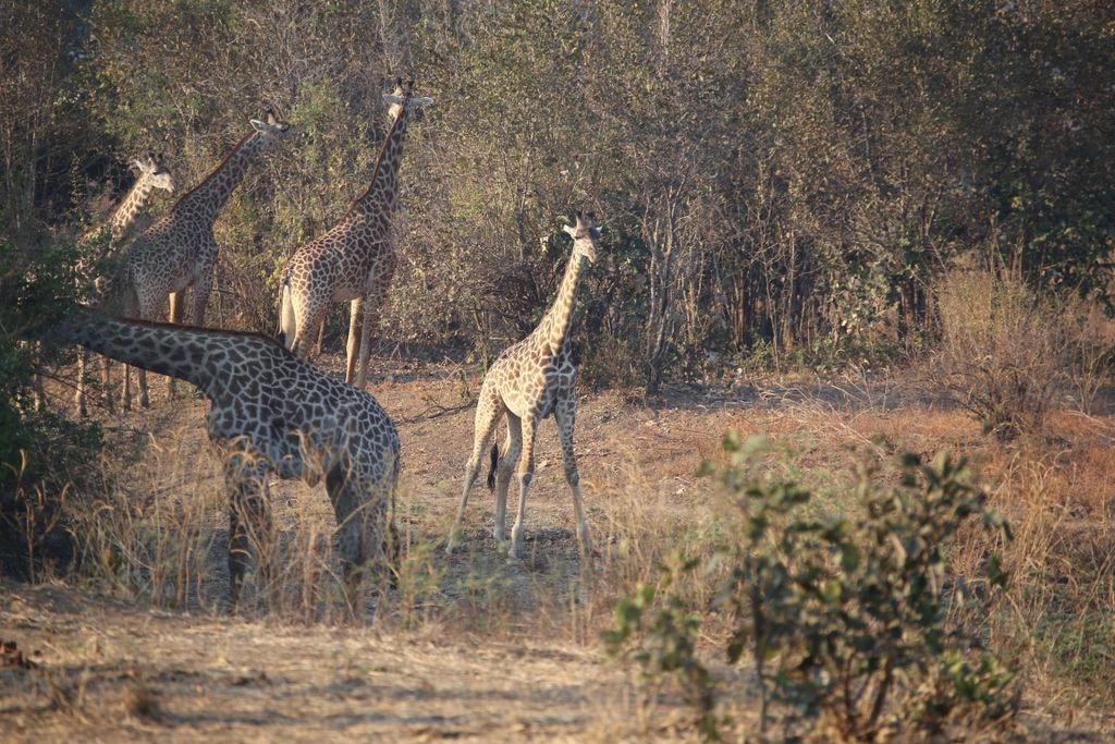 81f0ad53-c790-4e66-b64e-22b6a5d44fb2