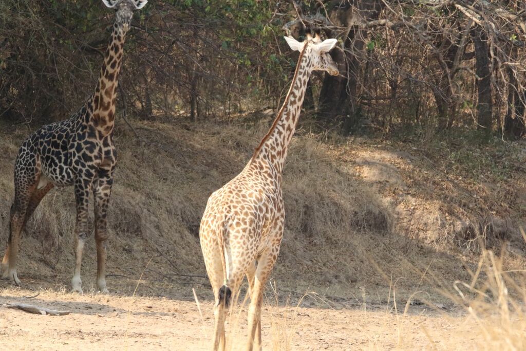 dcc3dd45-8fda-4269-82f4-0eff3bed2b0d