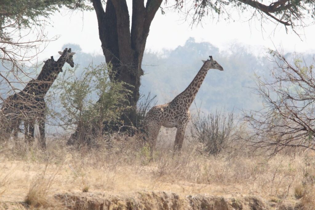 dcc3dd45-8fda-4269-82f4-0eff3bed2b0d