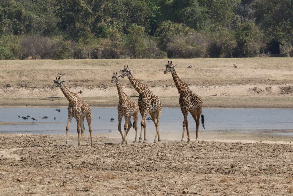 2de0fded-204d-4737-bb66-ddafebba0fba