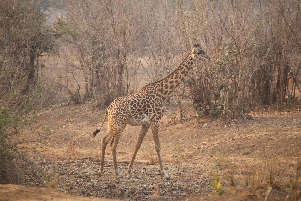 ec22d032-c39a-46e8-9213-02e56f8a0205