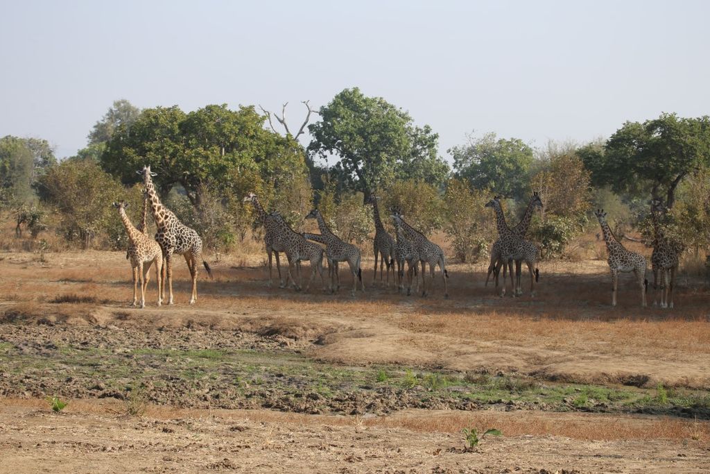 97ea1d32-00b8-4d65-900a-9f571ab830fd