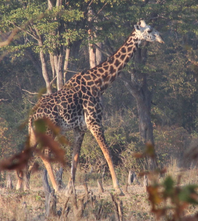 b3b9edb0-dbd9-4169-a6b6-bf8aadc168c4