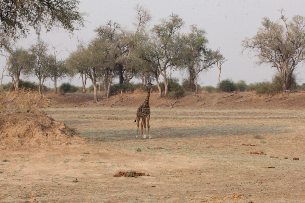 06c995d3-5e4e-4b6e-afb5-0a5bb3409f6e