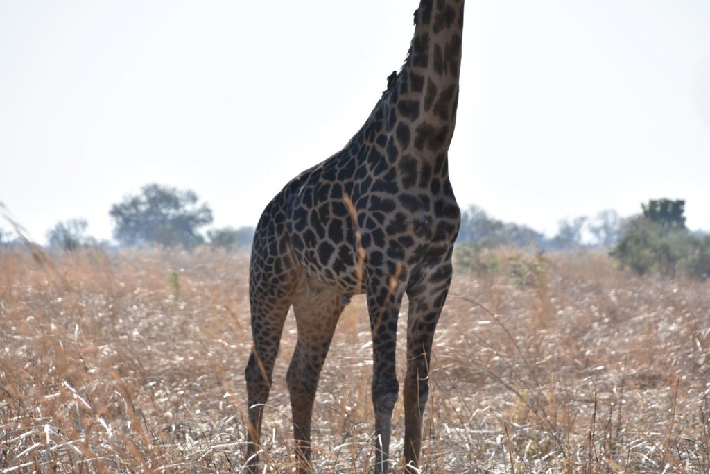 4f7b6646-1cca-4eee-9bae-5f04b4cc741e