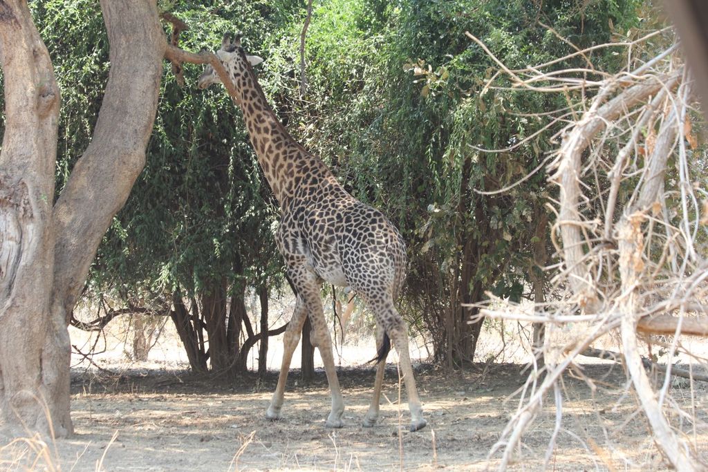 b415d376-17a0-419d-8f59-27ca9c96aa3e