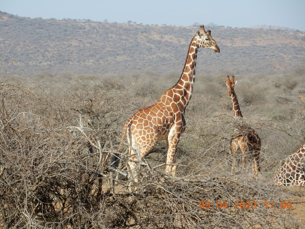 55c7dc1d-8d45-49ad-9506-e6ee3ae06060