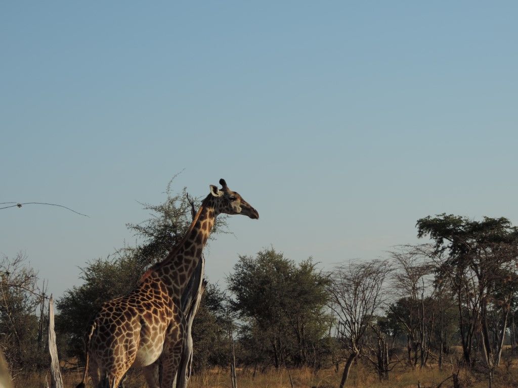 06883590-aa7e-44da-baa5-3a6f4b8a186a