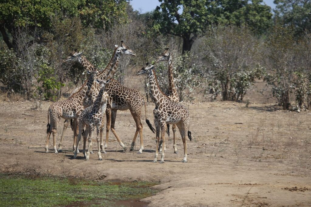 cba2683f-67b8-48d6-94f5-8bab1d558c54