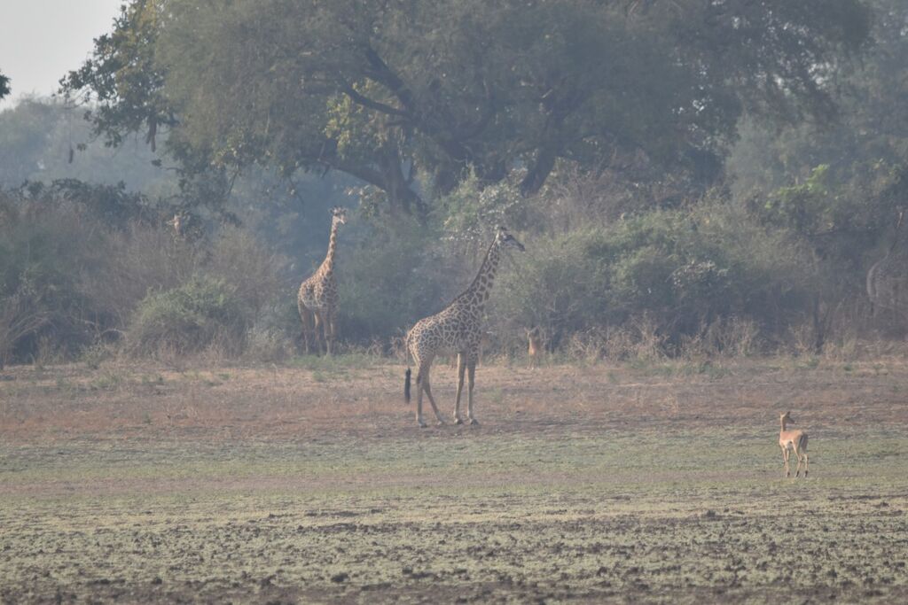 be9b4780-5a91-4048-a1bb-fdf69b2320f9