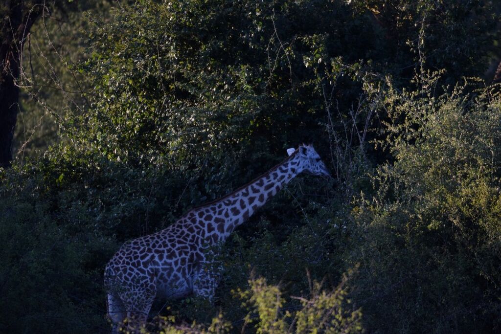 72bf30d9-2061-45ad-abbd-ee099ecb8ba8