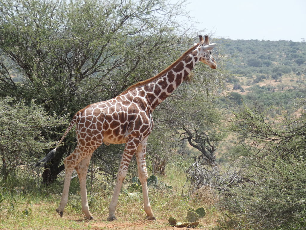 ac6871de-5100-4cbe-9276-eea8848183b4