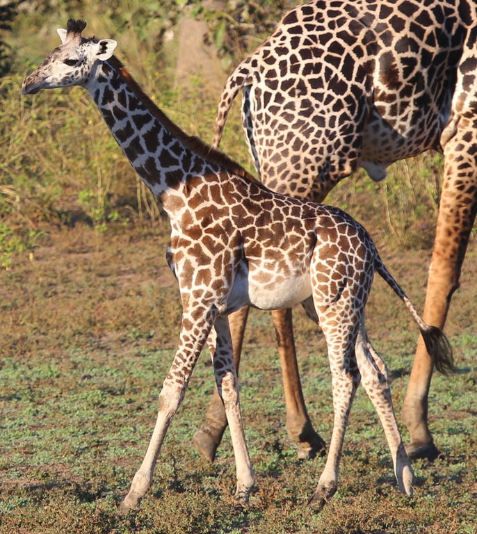 94816dbd-fa7d-4088-a90c-8715ecd8207c