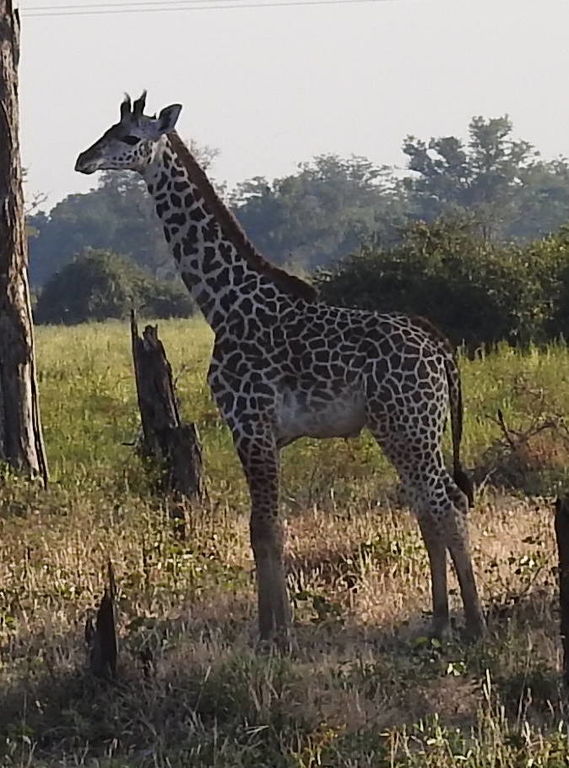 c8a62be9-0a81-4447-9ab5-72712e4c88a4