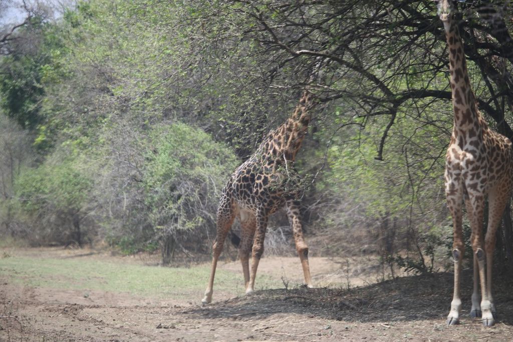 dcc3dd45-8fda-4269-82f4-0eff3bed2b0d