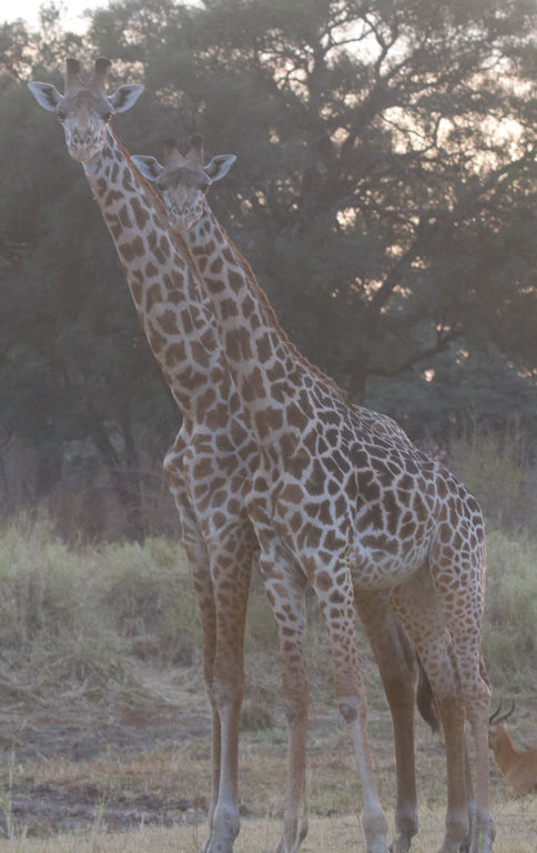 02d6bcf5-fd17-460e-b8f1-3d1913f9ea2f