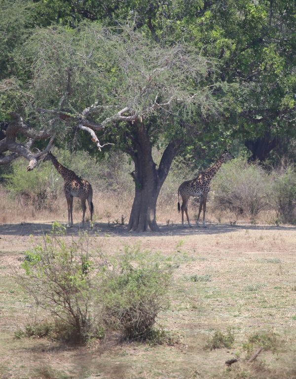 cba2683f-67b8-48d6-94f5-8bab1d558c54