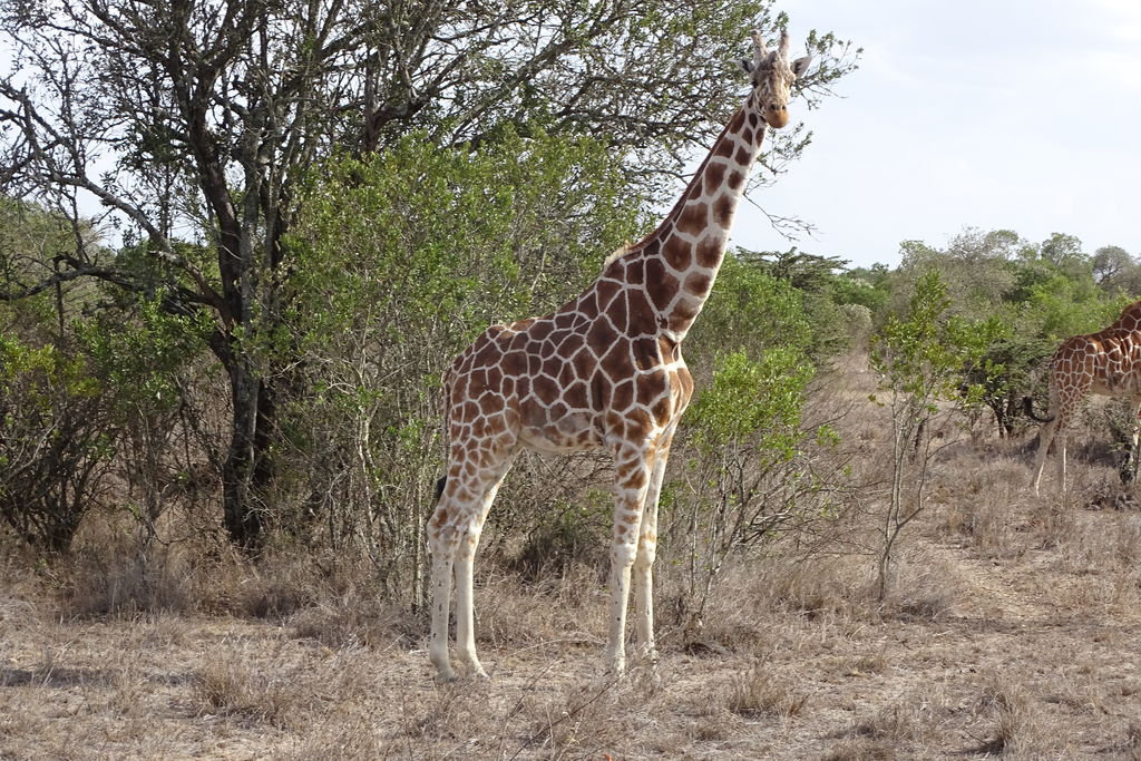 89832ba9-ec7f-43f9-b417-31ebcae6acdd