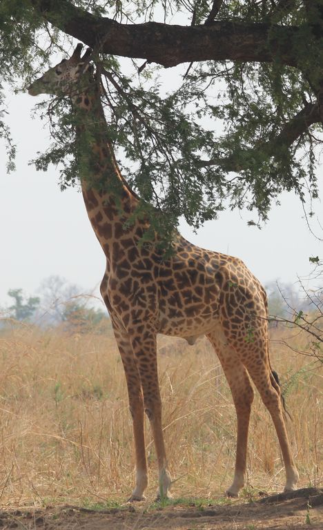 d4df6cf4-75b8-4406-acd1-9de0f47f6c8e