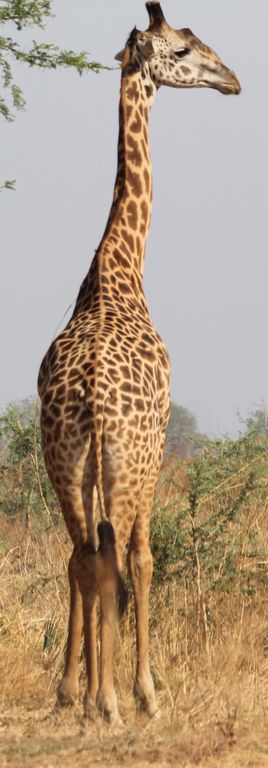 d4df6cf4-75b8-4406-acd1-9de0f47f6c8e