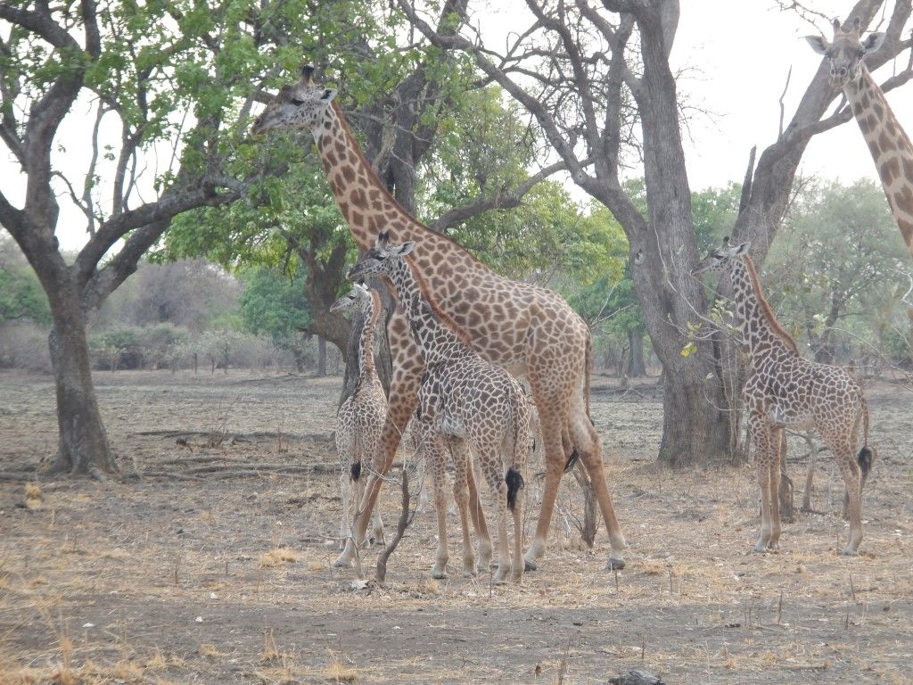 f8cd9ab2-60a9-4782-a0a9-2e3eac53ffc4