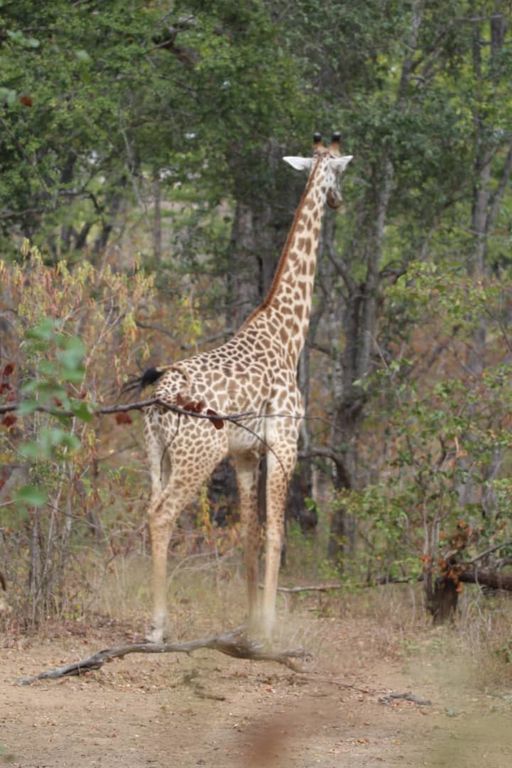 78945f73-e9f6-492c-aa12-91e2c14b21a9