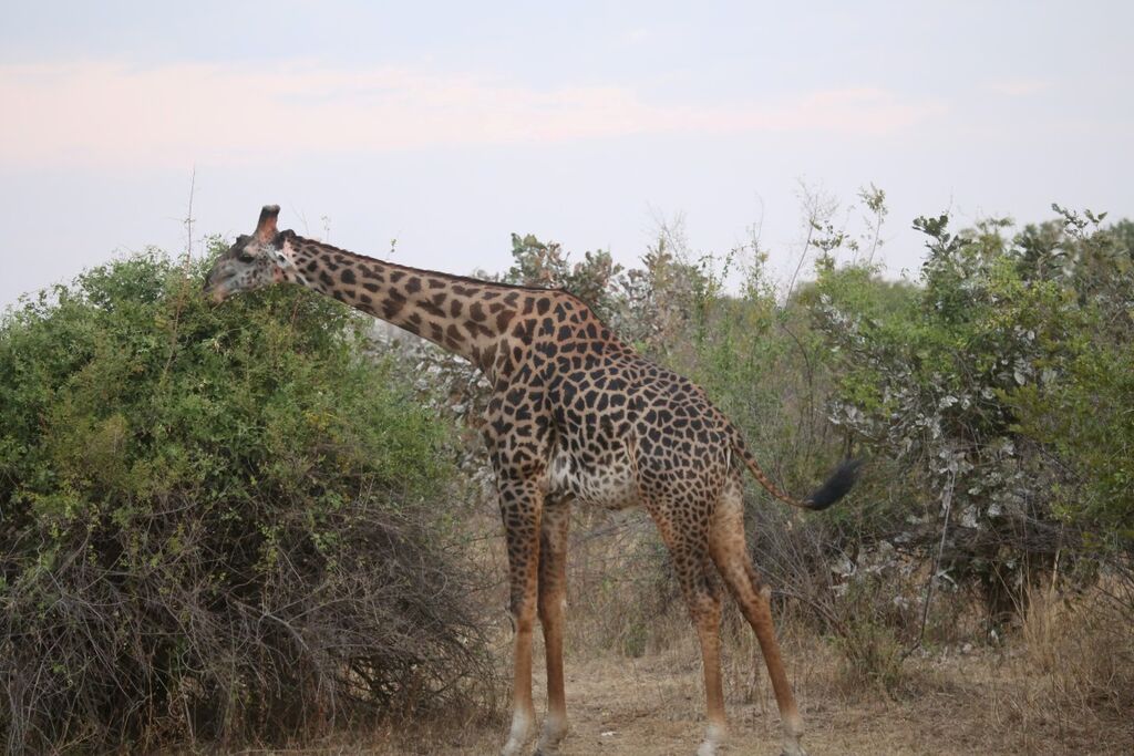 4ee1756c-aa64-490a-b479-da2557458f27