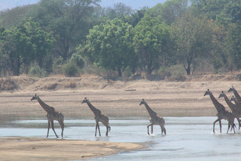 f8cd9ab2-60a9-4782-a0a9-2e3eac53ffc4