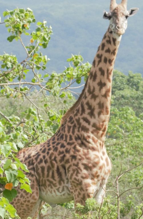 99a81688-c95c-48f9-8409-6526f4b91f68