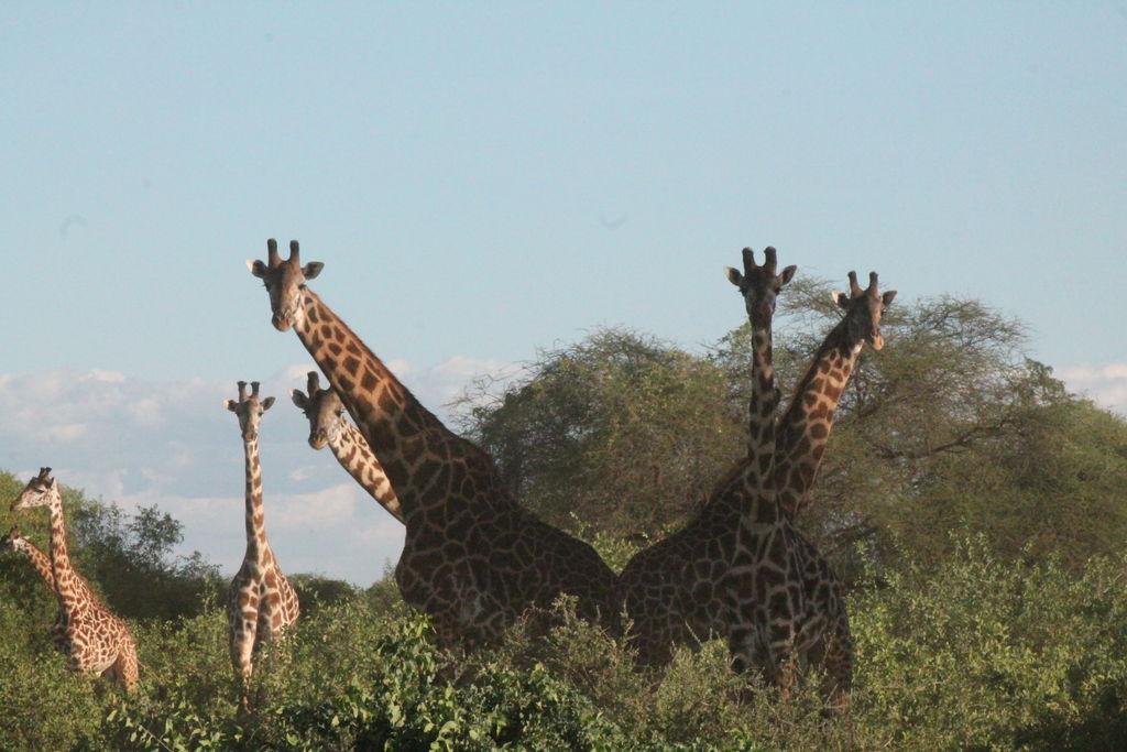 4bc78cec-d44f-47a8-ba2d-092e30c05d2a