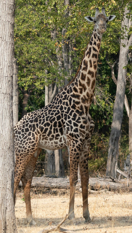 02d6bcf5-fd17-460e-b8f1-3d1913f9ea2f