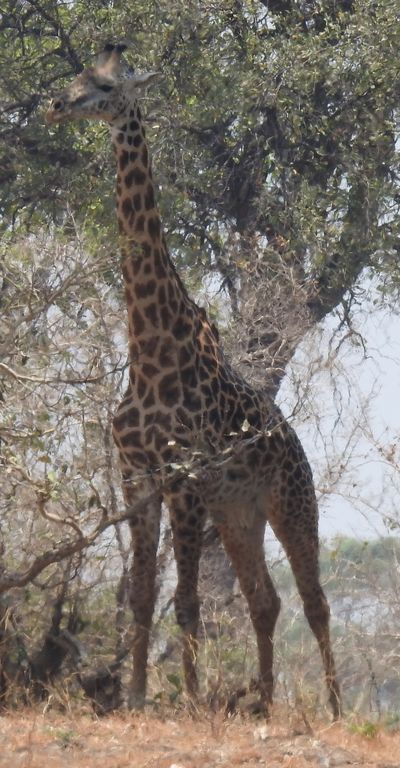 91137adc-6cfd-4ef2-96a2-4ab539f54133