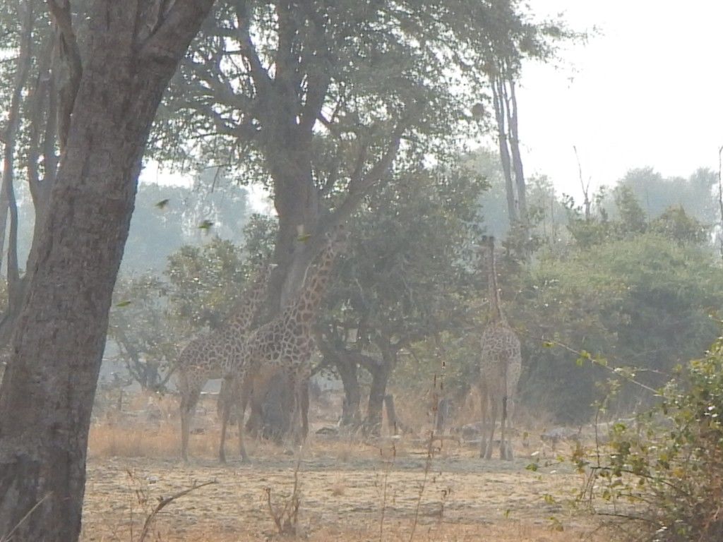 eb6d70e5-6af2-473a-902a-a62f8eb1a98c