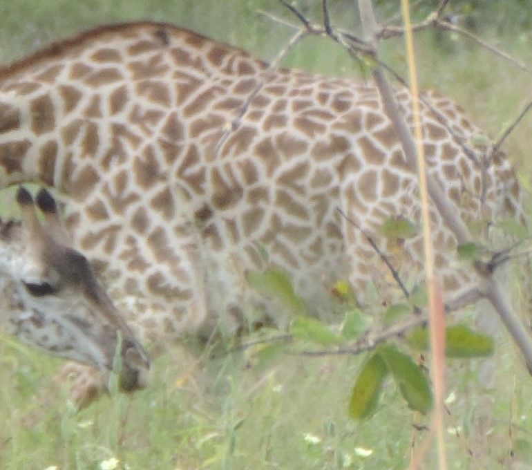 e79876a2-3ca7-4b5c-aae0-83658b714a96