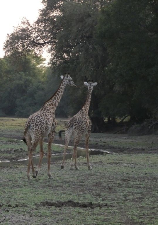 b0c8753b-d6c6-45a2-80aa-5951739c17c4